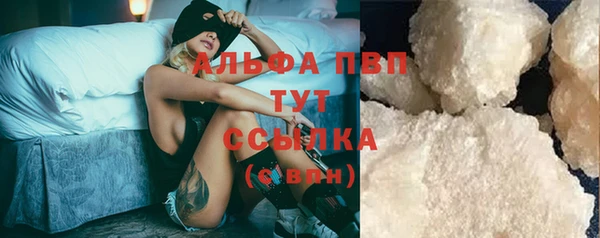 СК Вязьма