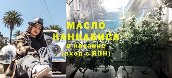 СК Вязьма