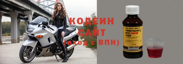 СК Вязьма