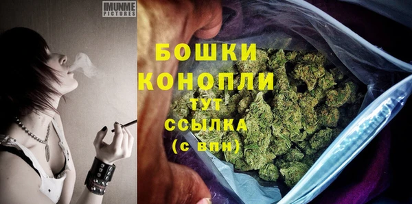 СК Вязьма