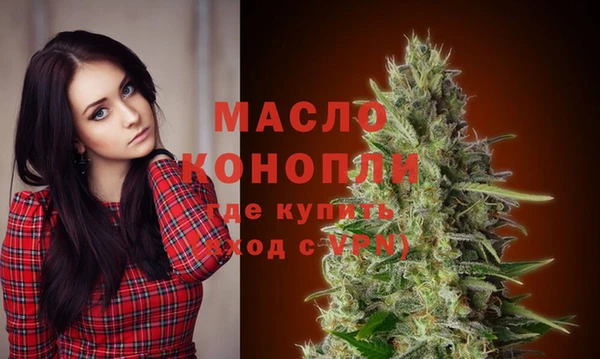 СК Вязьма