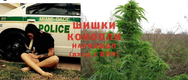 СК Вязьма