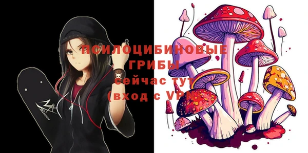 СК Вязьма
