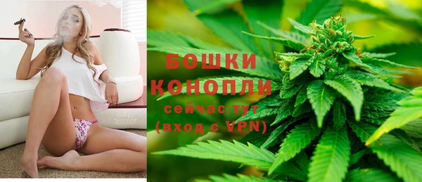 стаф Вязники