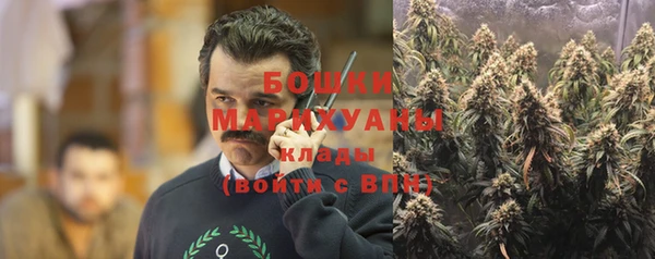 стаф Вязники